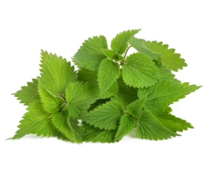 Коприва Върхове Гъбена Градина 150 г