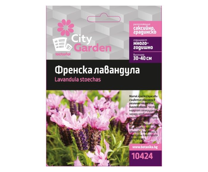 Семена Френска Лавандула City Garden 1 бр