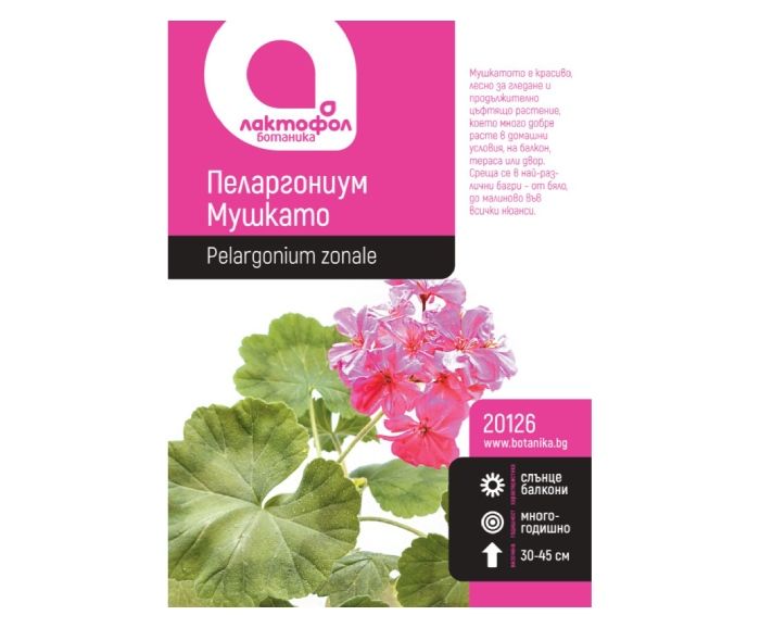 Семена Пеларгониум Мушкато Лактофол Ботаника 1 бр