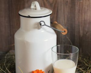 Млякото и ползите за здравето ни